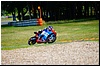 DSC00796.JPG