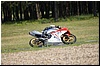 DSC00905.JPG
