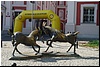 tn_DSC_3522.JPG