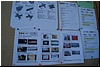 tn_DSC_3625.JPG