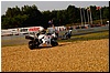DSC09212.JPG