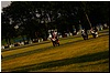 DSC09235.JPG