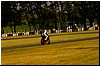 DSC09286.JPG