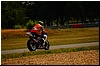DSC09514.JPG