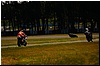 DSC09515.JPG