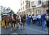 DSC_2560.JPG