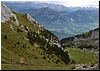 DSC_2850.JPG