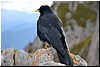 DSC_2890.JPG