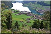 DSC_2950.JPG