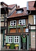 DSC_3206.JPG