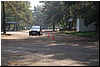 tn_DSC_3971.JPG