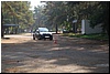 tn_DSC_3972.JPG