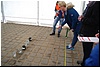 tn_DSC_4235.JPG