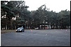 DSC05946.JPG