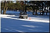 DSC_4443.JPG