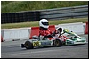 DSC_0137.JPG