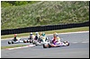 DSC_0205.JPG
