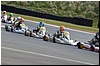 DSC_0247.JPG