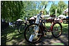 DSC_3091.JPG