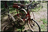 tn_DSC_4869.JPG