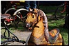 tn_DSC_4871.JPG