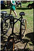 tn_DSC_4908.JPG