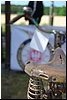 tn_DSC_4925.JPG
