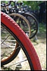 tn_DSC_4928.JPG