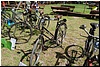 tn_DSC_4931.JPG