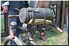 tn_DSC_4938.JPG