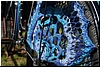 tn_DSC_4944.JPG