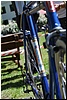 tn_DSC_4951.JPG