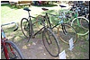 tn_DSC_4969.JPG