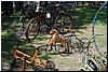 tn_DSC_4987.JPG