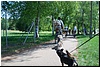 tn_DSC_5045.JPG