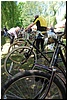 tn_DSC_5099.JPG