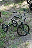 tn_DSC_5109.JPG
