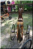 tn_DSC_5111.JPG