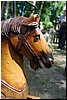 tn_DSC_5115.JPG