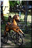 tn_DSC_5117.JPG