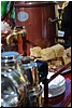 tn_DSC_5164.JPG