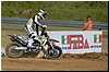 DSC_0914.jpg