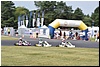 103.jpg