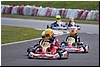 147.jpg