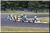 164.jpg