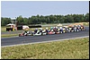 169.jpg