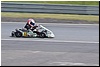 175.jpg