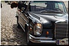 tn_DSC_5373.JPG