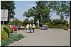 tn_DSC_5385.JPG