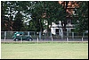 tn_DSC_5417.JPG